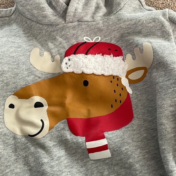 Gray Moose sweatshirt - Picture 2 of 3